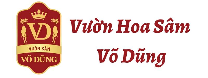 Vườn Hoa Sâm - Trà Sâm Võ Dũng